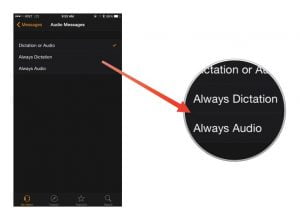 audio or text message